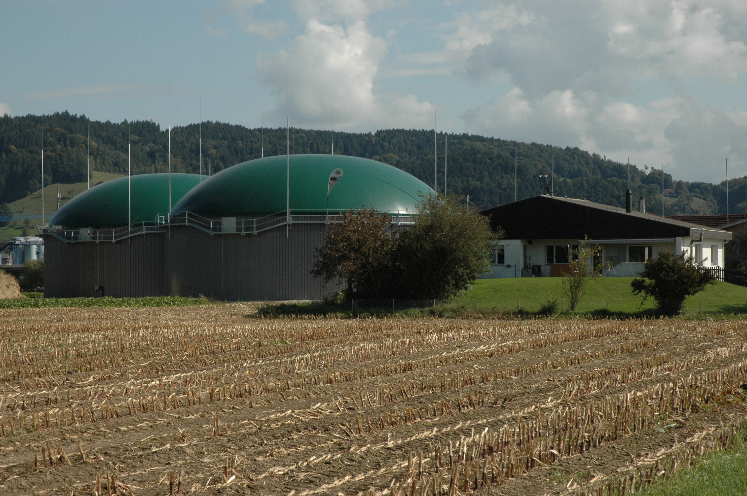Landwirtschaftliche Biogasanlagen haben ein grosses Potential