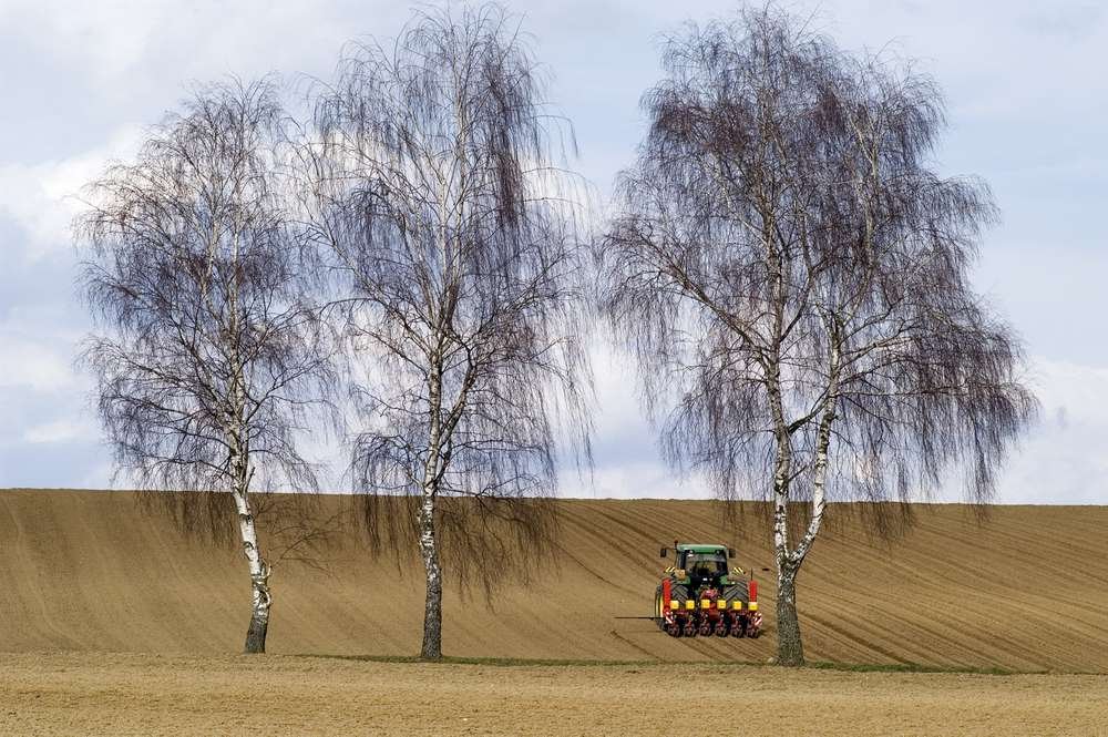 Feldarbeit im Frühling