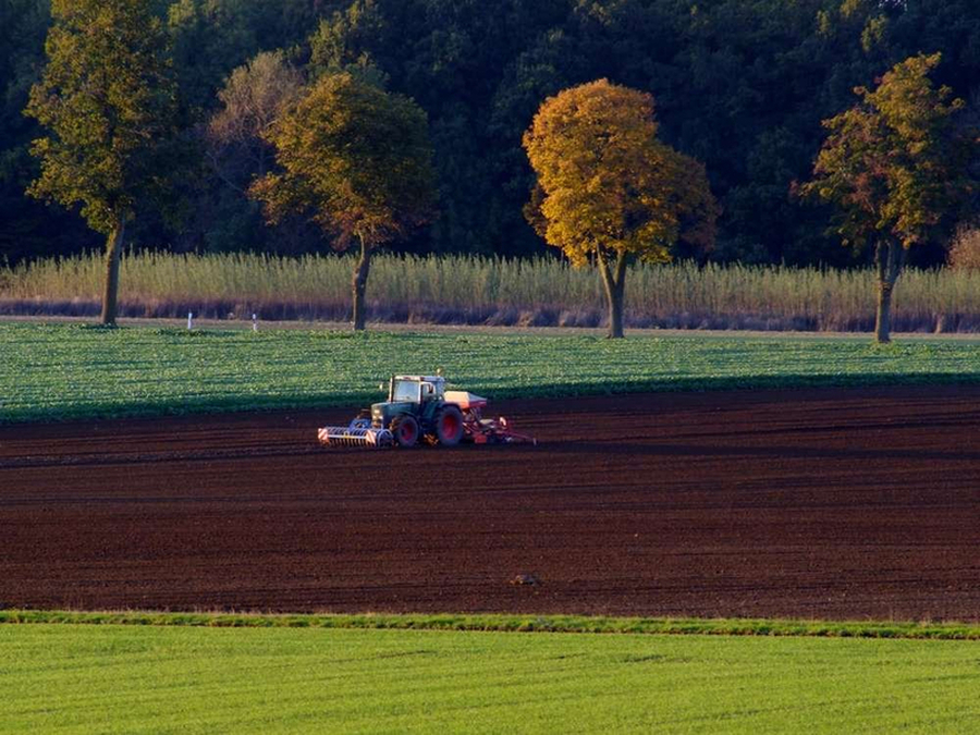 Landwirtschaft