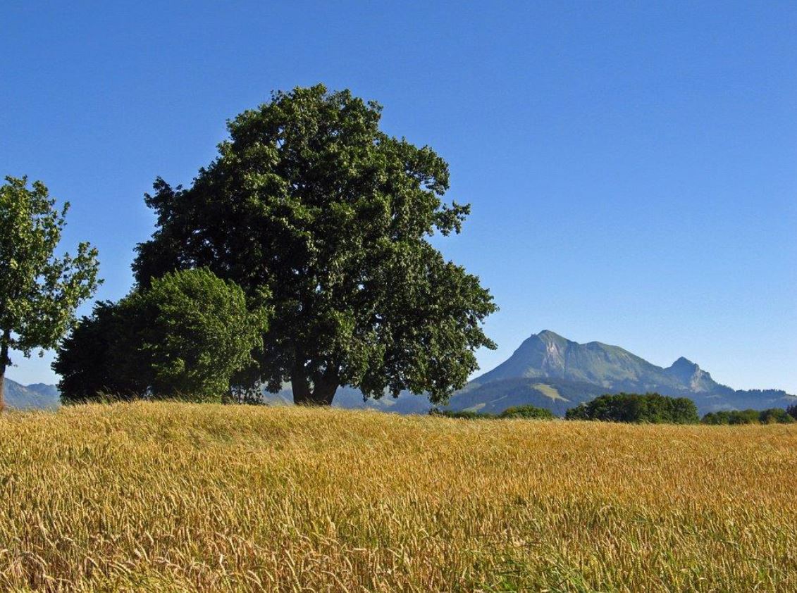 Landwirtschaftliche Energieberatung in der Westschweiz (CEPAR)